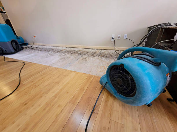 Professional Water Damage Repair technician working in Stinson Beach, CA